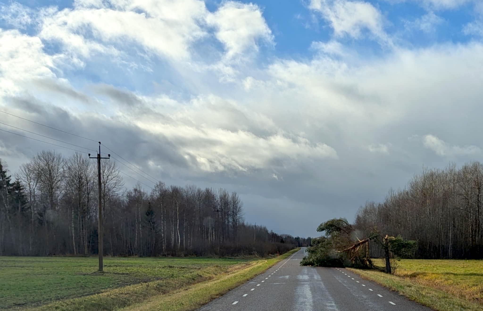 Üksikud puud murrab torm maha